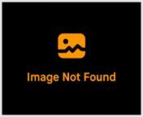 Quiver Wet Pussy Megan Fox From Ww Telugu Cousty Teen Megan Monroe On Her Knees Watch Porngif