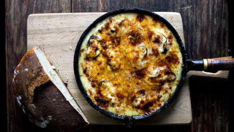 Three Cheese Oyster Gratin Lady And Pups