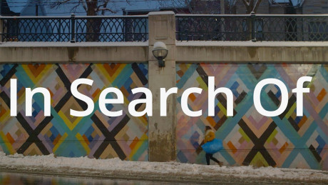 Watch In Search Of A Web Series About W